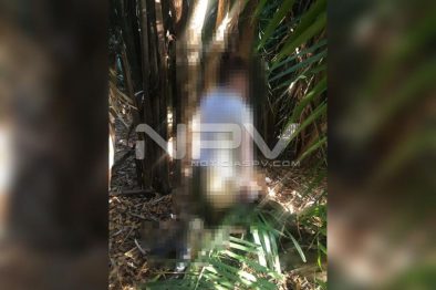 seguridad bahia 3212