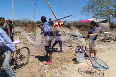 seguridad bahia 3251