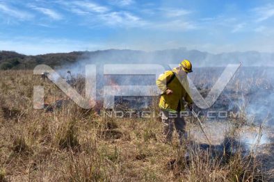 seguridad bahia 4228