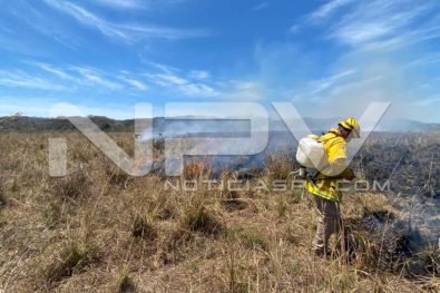 seguridad bahia 4229