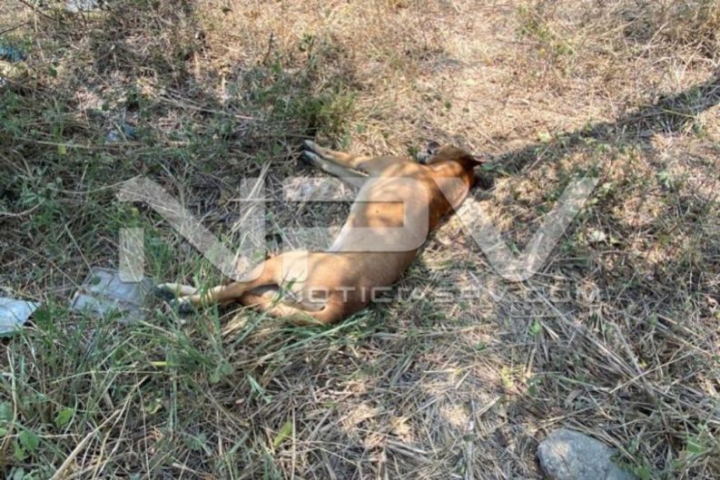 seguridad bahia 4416