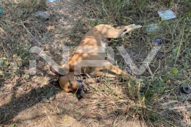 seguridad bahia 4419