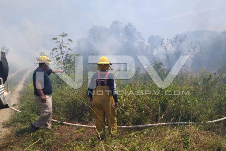 seguridad bahia 4829