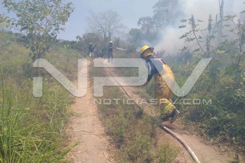 seguridad bahia 4832