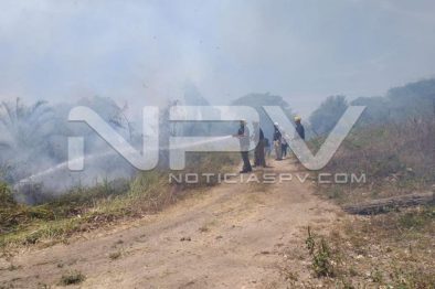 seguridad bahia 4833