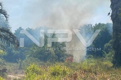 seguridad bahia 4842