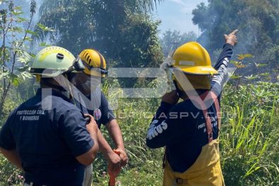 seguridad bahia 4845