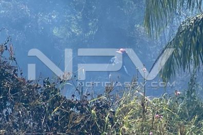 seguridad bahia 4852