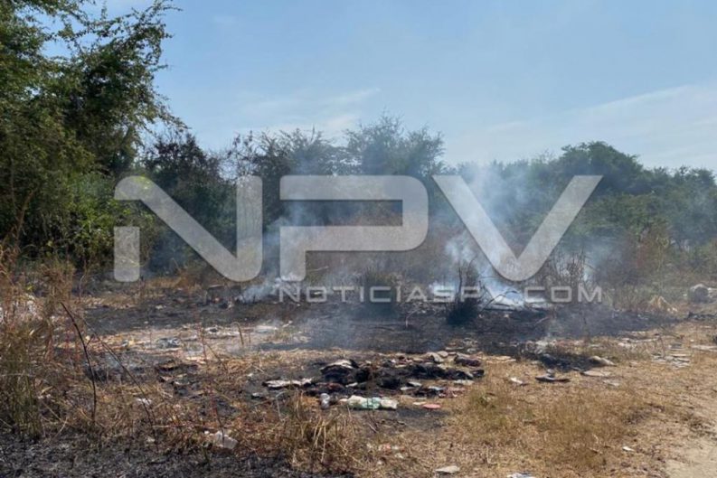 seguridad bahia 4935