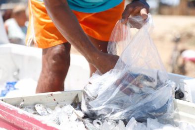 DIF ENTREGA PESCADO (6)