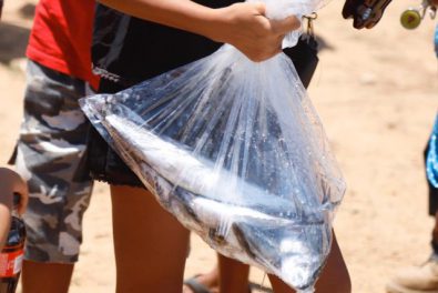 DIF ENTREGA PESCADO (7)