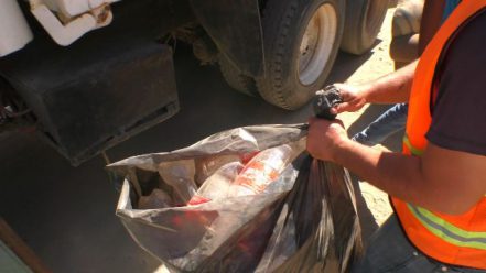 JUNTOS CONTRA DENGUE - DESCACHARRIZACION (3)