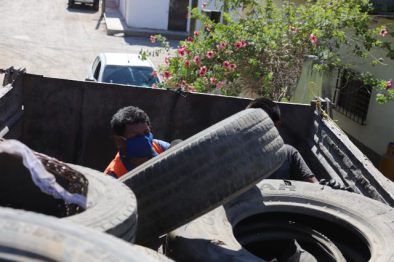 JUNTOS CONTRA DENGUE - DESCACHARRIZACION (5)