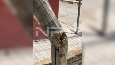 seguridad bahia 6561