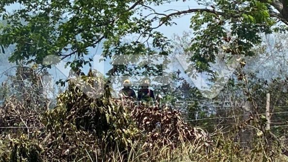 seguridad bahia 6795