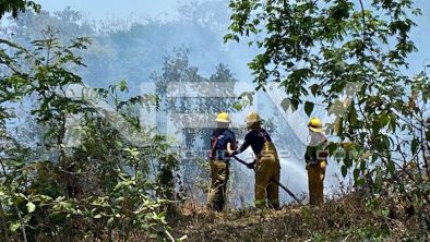 seguridad bahia 6798