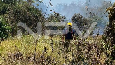 seguridad bahia 6800