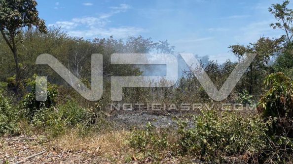 seguridad bahia 6803