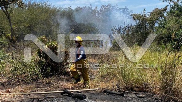 seguridad bahia 6804
