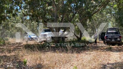 seguridad bahia 6810