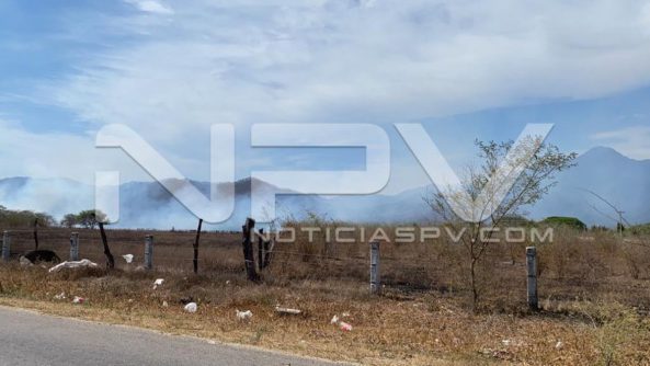 seguridad bahia 6841