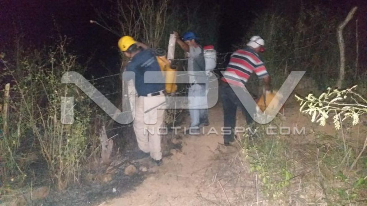 seguridad bahia 7463