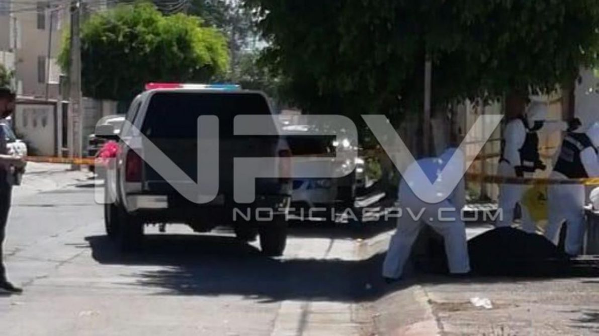 seguridad bahia 7746