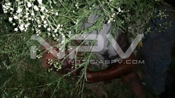 seguridad bahia 7858