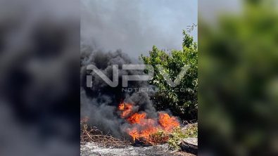 seguridad bahia 8032