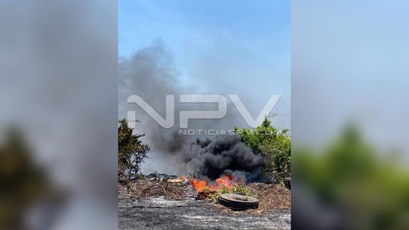 seguridad bahia 8033