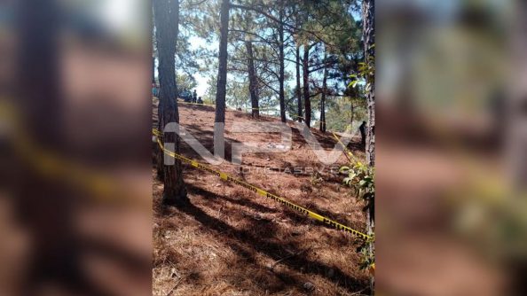 seguridad bahia 8066