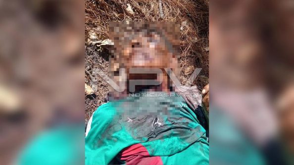 seguridad bahia 8067