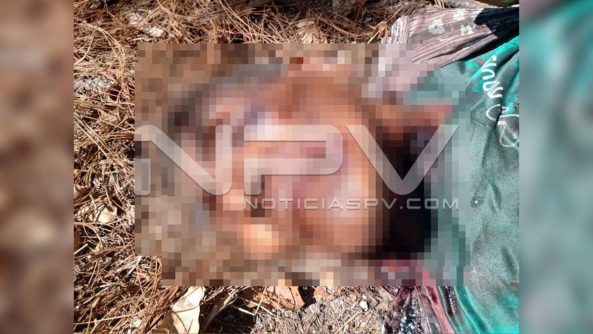 seguridad bahia 8068