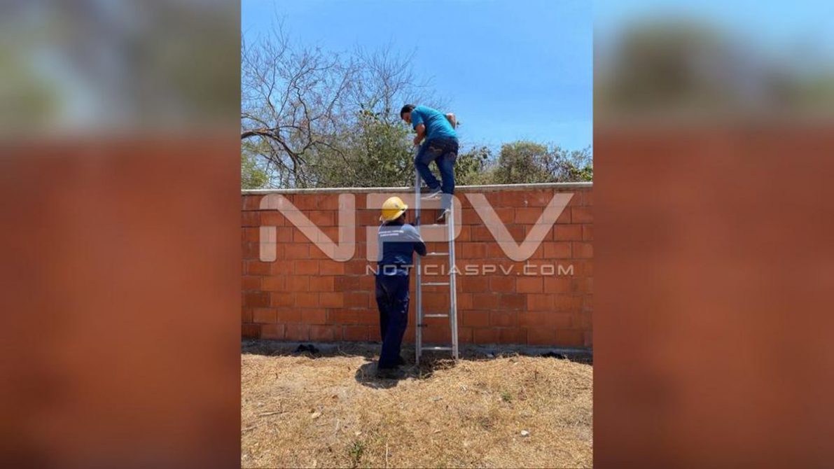 seguridad bahia 8239