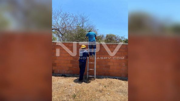 seguridad bahia 8240