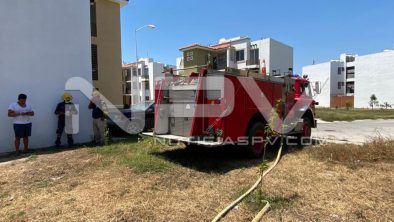 seguridad bahia 8241