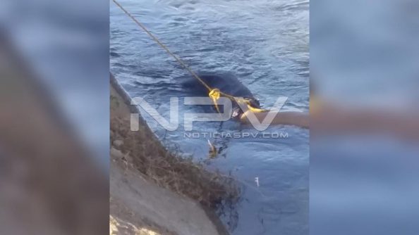 seguridad bahia 8509