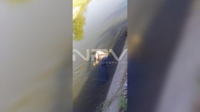 seguridad bahia 8510