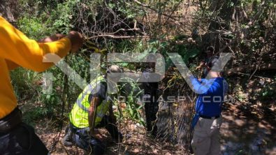 seguridad bahia 8895