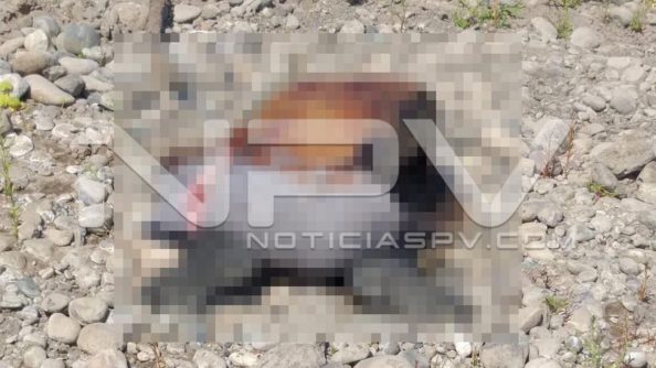 seguridad bahia 8984