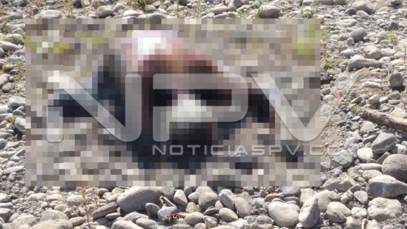 seguridad bahia 8986