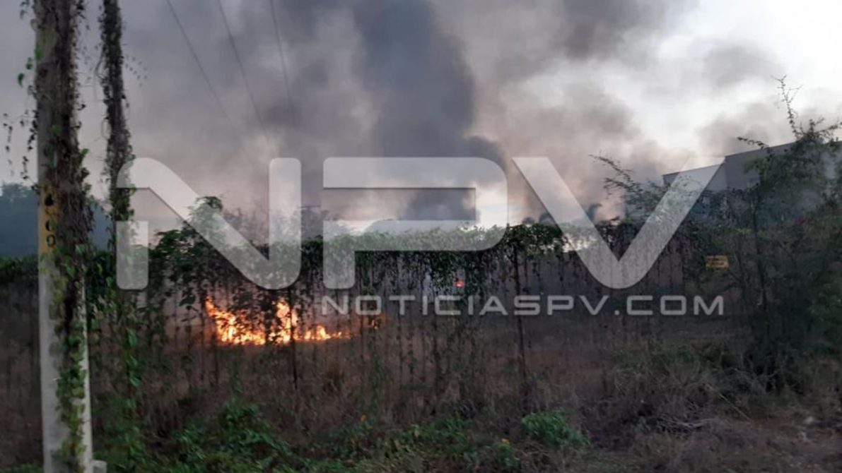 seguridad bahia 9221