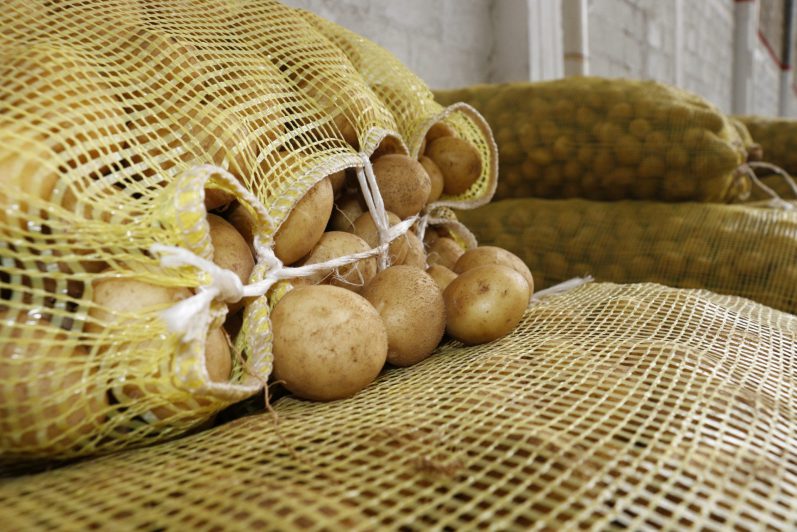 COMUNICADO 1499-DIF-Tercer donativo de papa (8)