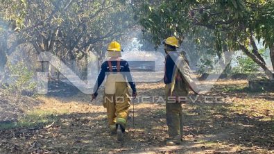 seguridad 11177