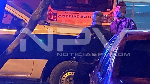 seguridad 11432