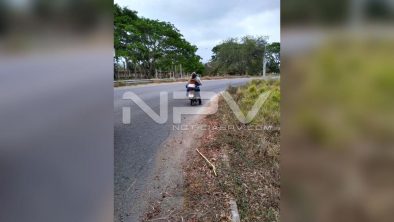 seguridad bahia 10046