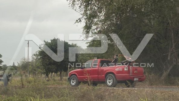 seguridad bahia 10048
