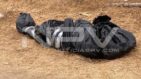 seguridad bahia 10538