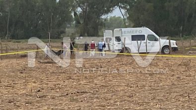 seguridad bahia 10541