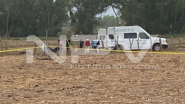 seguridad bahia 10541